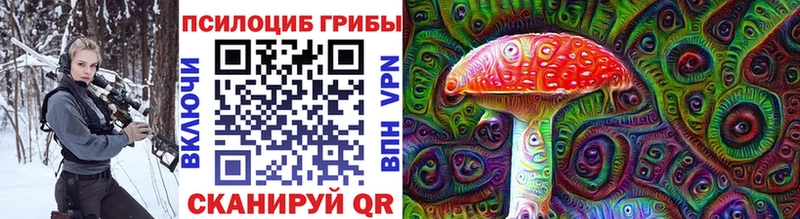 Псилоцибиновые грибы GOLDEN TEACHER  ОМГ ОМГ как зайти  Ефремов 