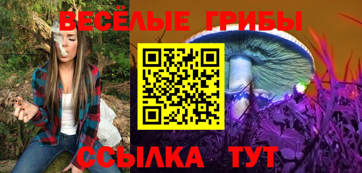 Ефремов  Псилоцибиновые грибы Cubensis  купить наркоту  Галлюциногенные грибы ЛСД  Вход с VPN 