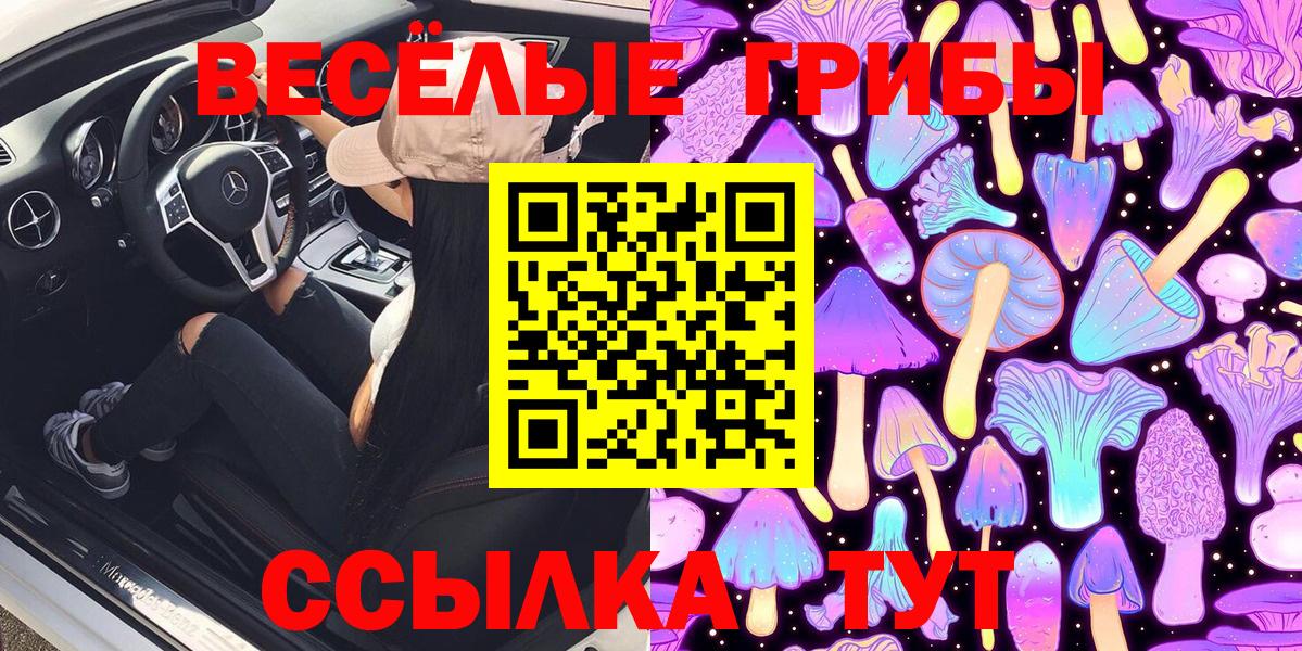 Галлюциногенные грибы прущие грибы Ефремов