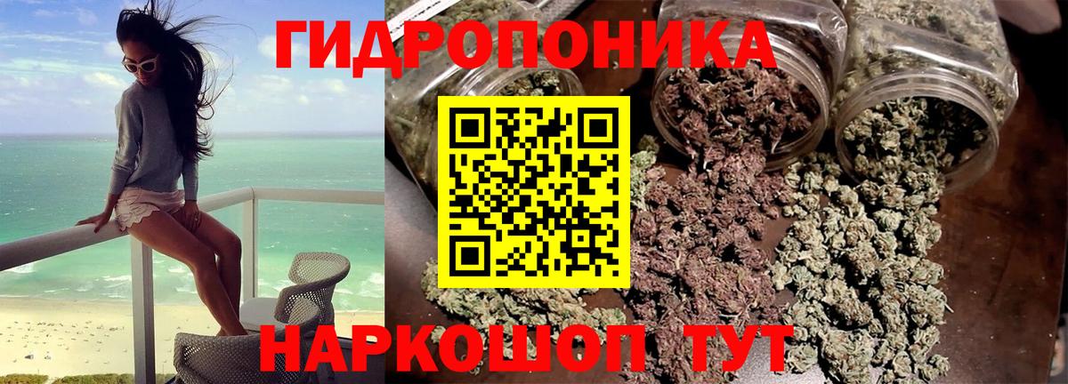 Ефремов  Шишки марихуана VHQ  Шишки марихуана VHQ  Вход с VPN 
